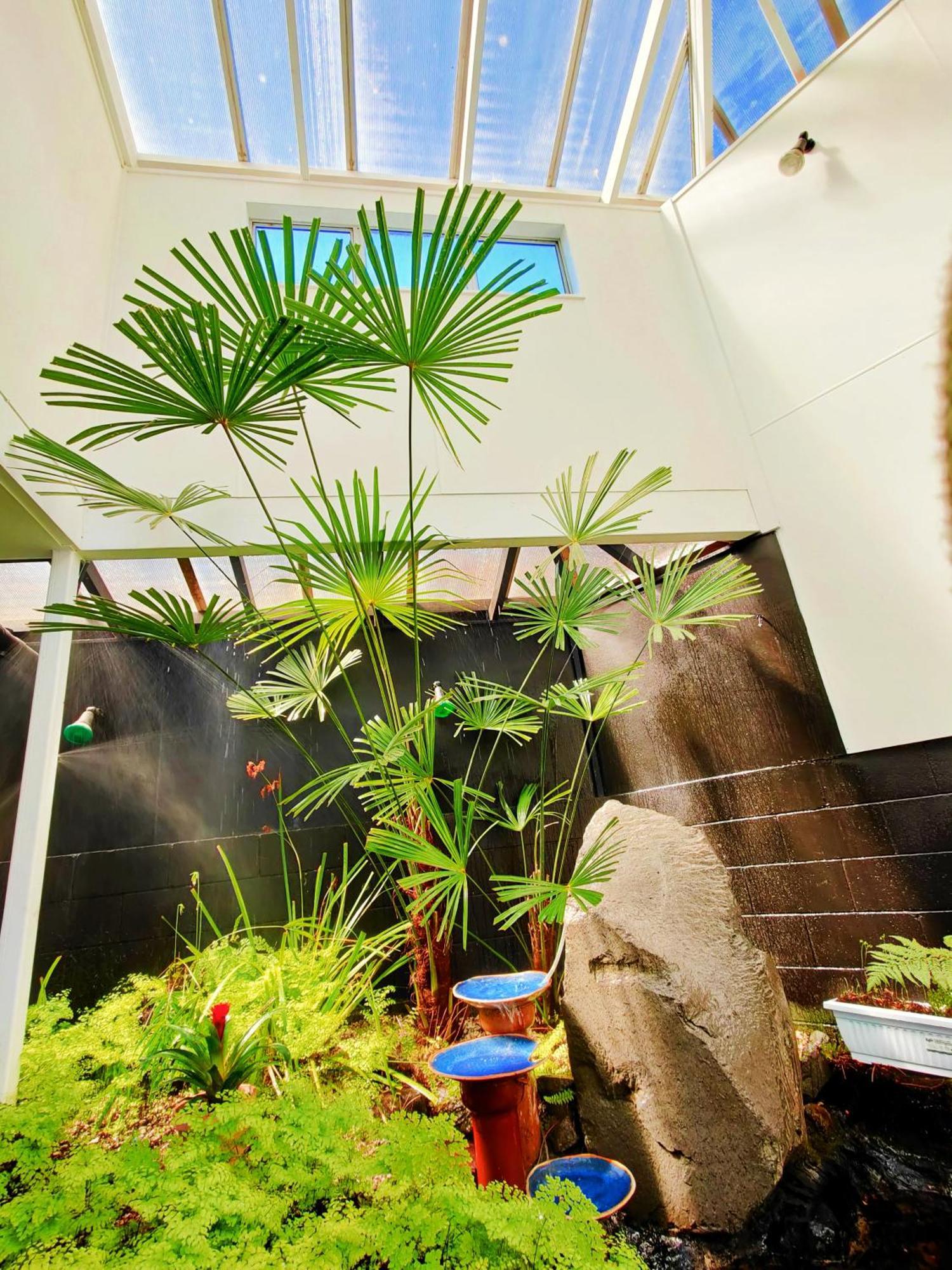 Delight In Birch-Lake View Holiday Home Lago Lago Taupo Exterior foto